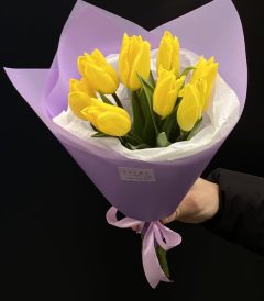 ყვითელი ტიტები, თაიგული
