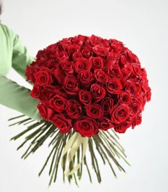 For My Special Girl