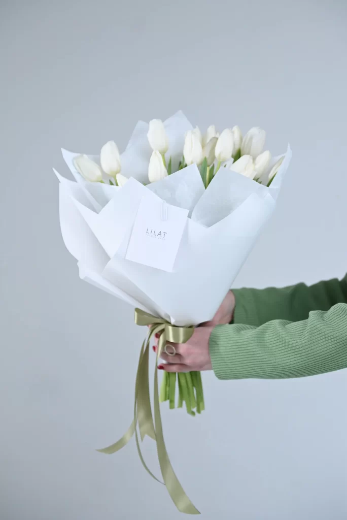 ჰოლანდიური ტიტები белые тюльпаны
