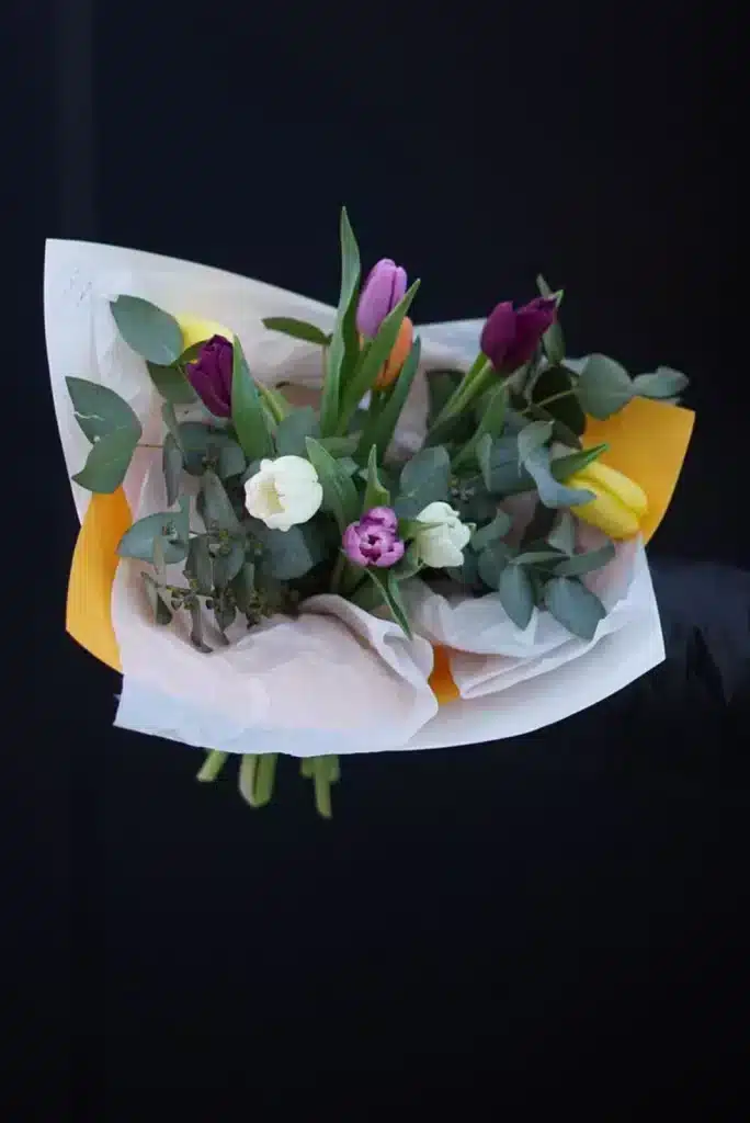 9 ტიტა