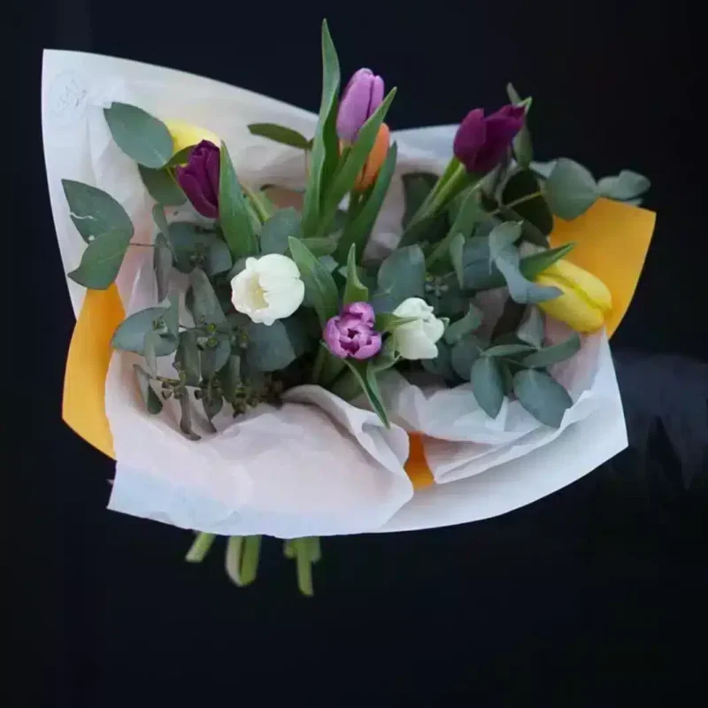 9 ტიტა