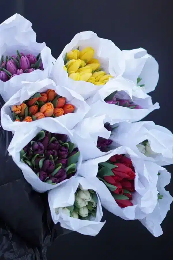 ტიტები
