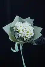 chrisanthemum