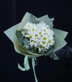 chrisanthemum