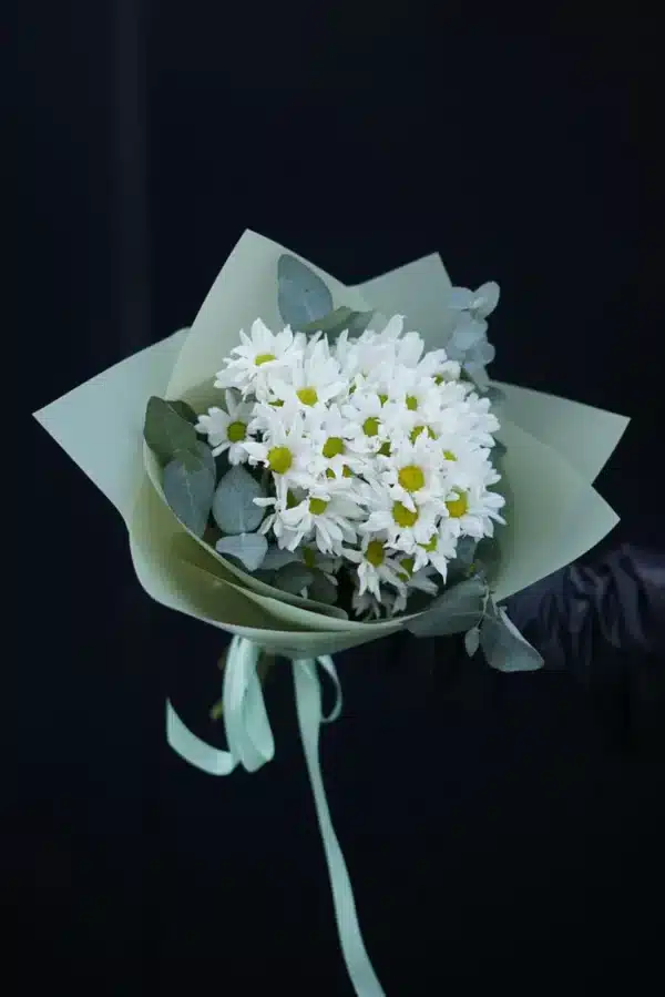 chrisanthemum