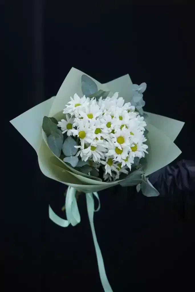 chrisanthemum