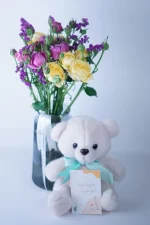 teddy