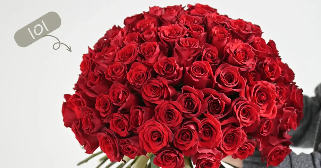 101 Red Roses