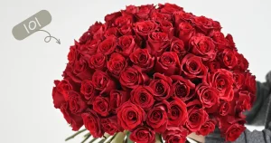 101 Red Roses