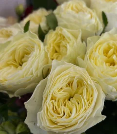 flower shop,Flower delivery in Tbilisi,flowers