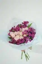yvavilebi tbilisshi