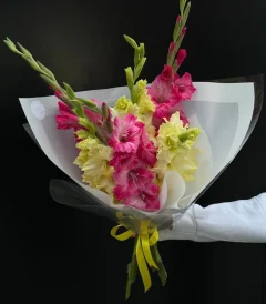 გლადიოლუსი