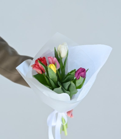 ტიტების თაიგული '' S+ ''