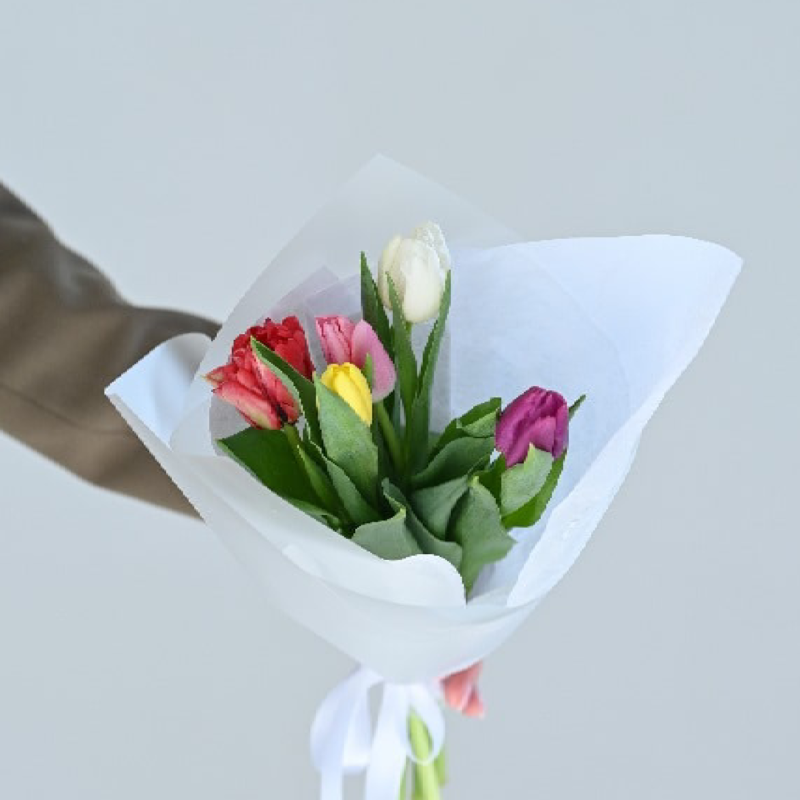 ტიტების თაიგული '' S+ ''