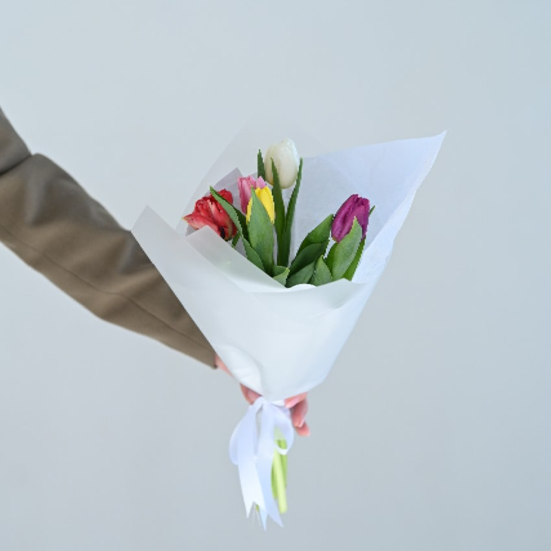 ტიტების თაიგული '' S+ ''