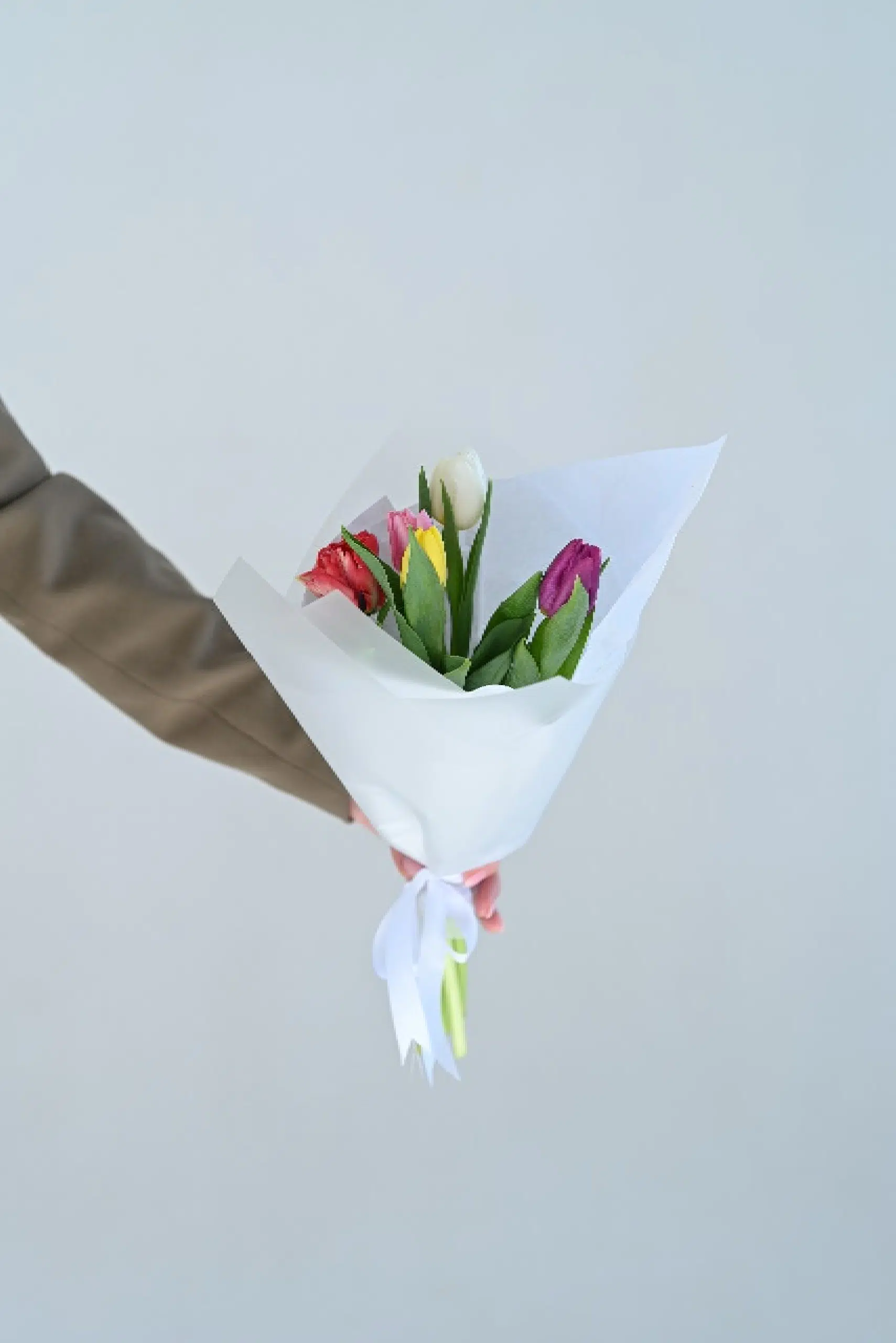 Bouquet of tulips "S+"