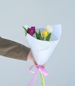 ტიტების თაიგული '' S ''