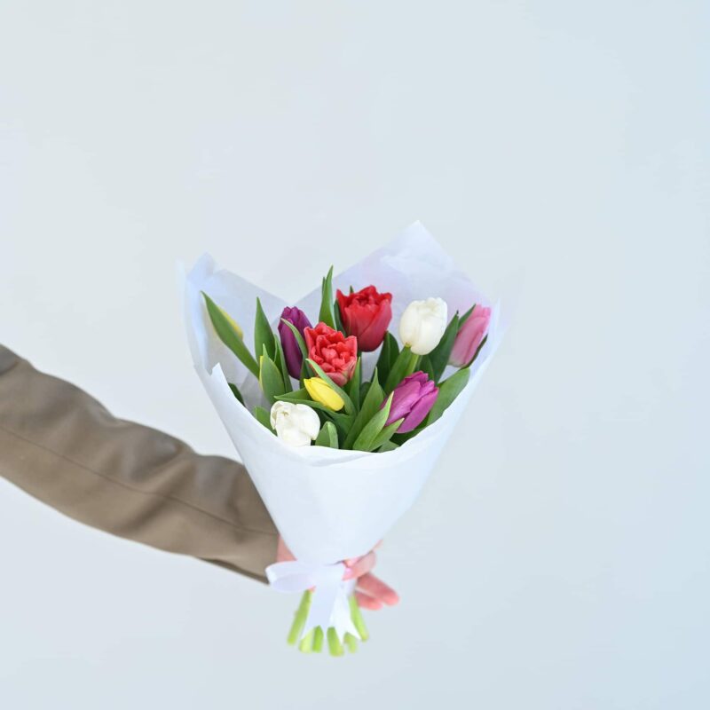 ტიტების თაიგული ''M''