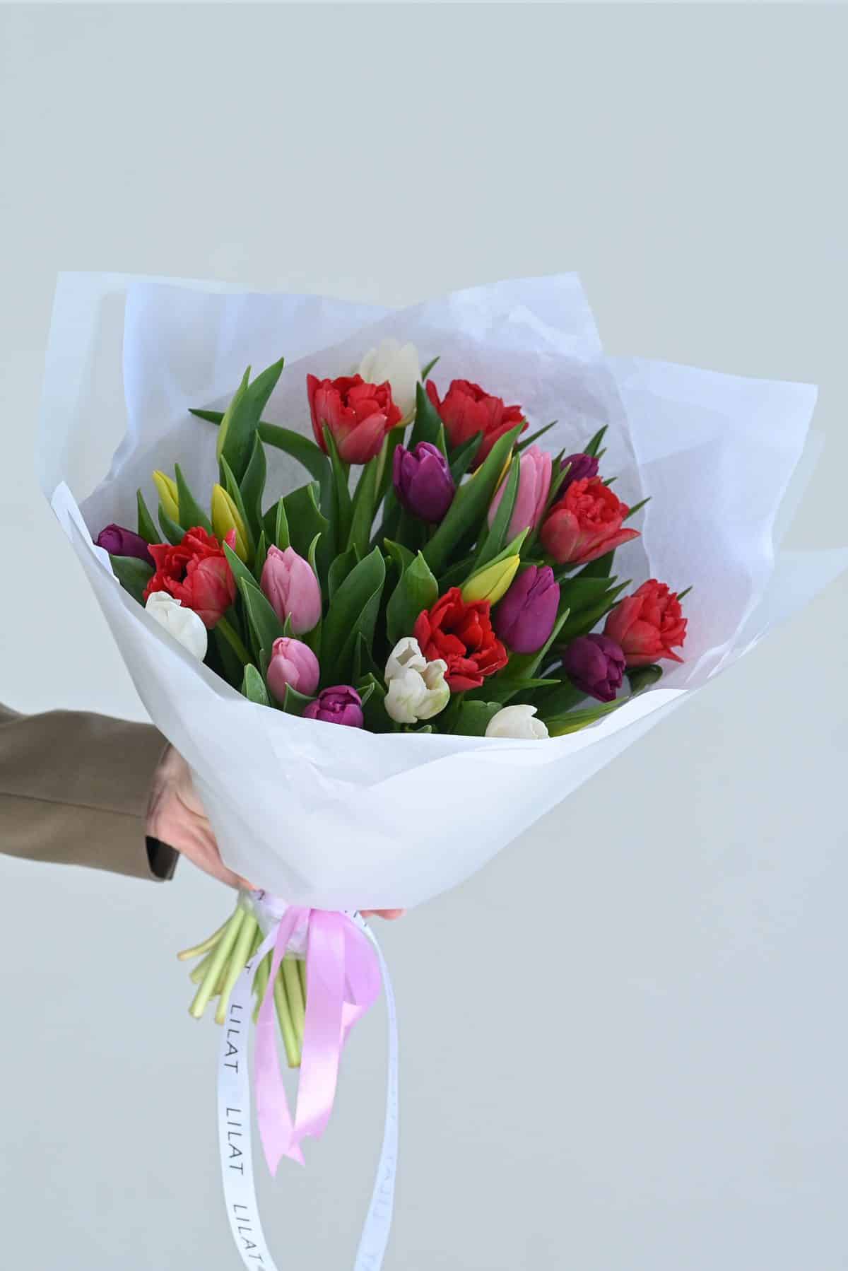 25 ჰოლანდიური ტიტა, თაიგული სხვადასხვა ფერებით