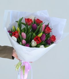 25 ჰოლანდიური ტიტა, თაიგული სხვადასხვა ფერებით