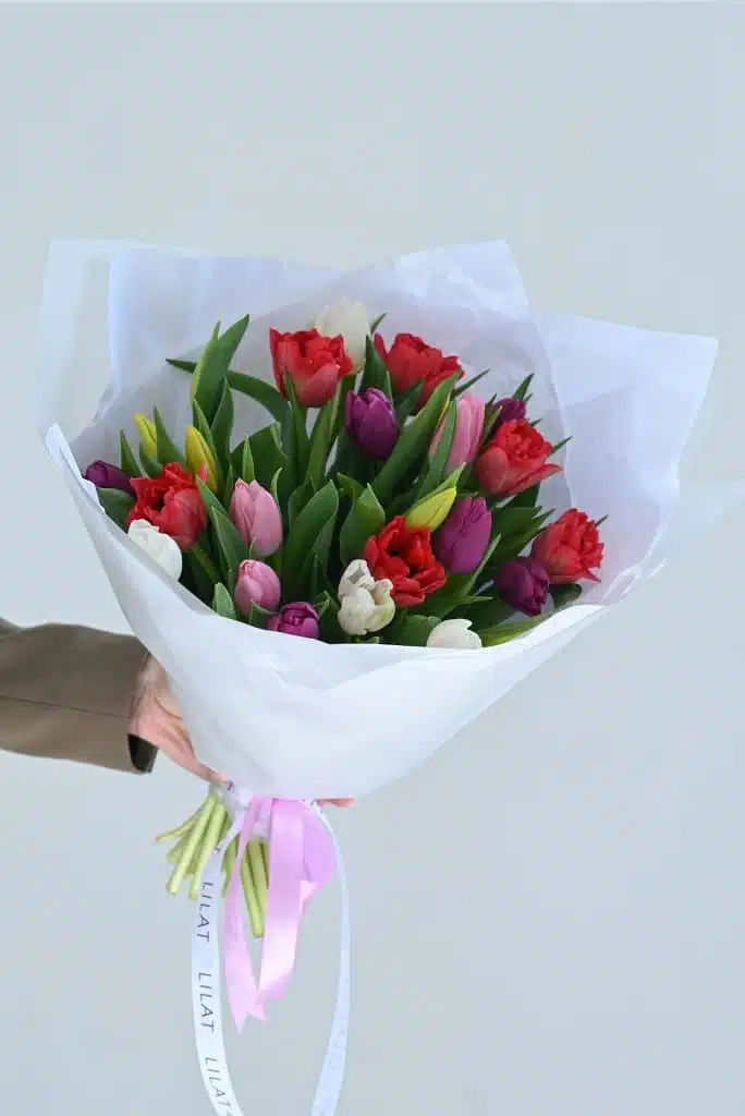 25 ჰოლანდიური ტიტა, თაიგული სხვადასხვა ფერებით