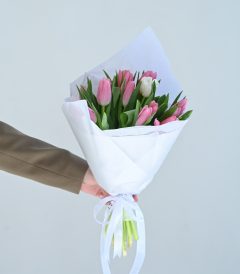 19 ვარდისფერი ტიტა