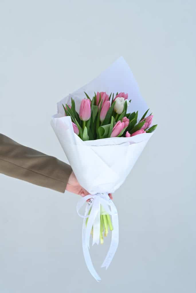 19 ვარდისფერი ტიტა