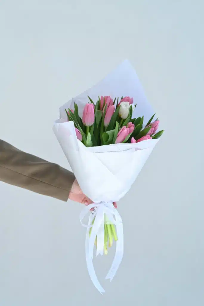 19 ვარდისფერი ტიტა