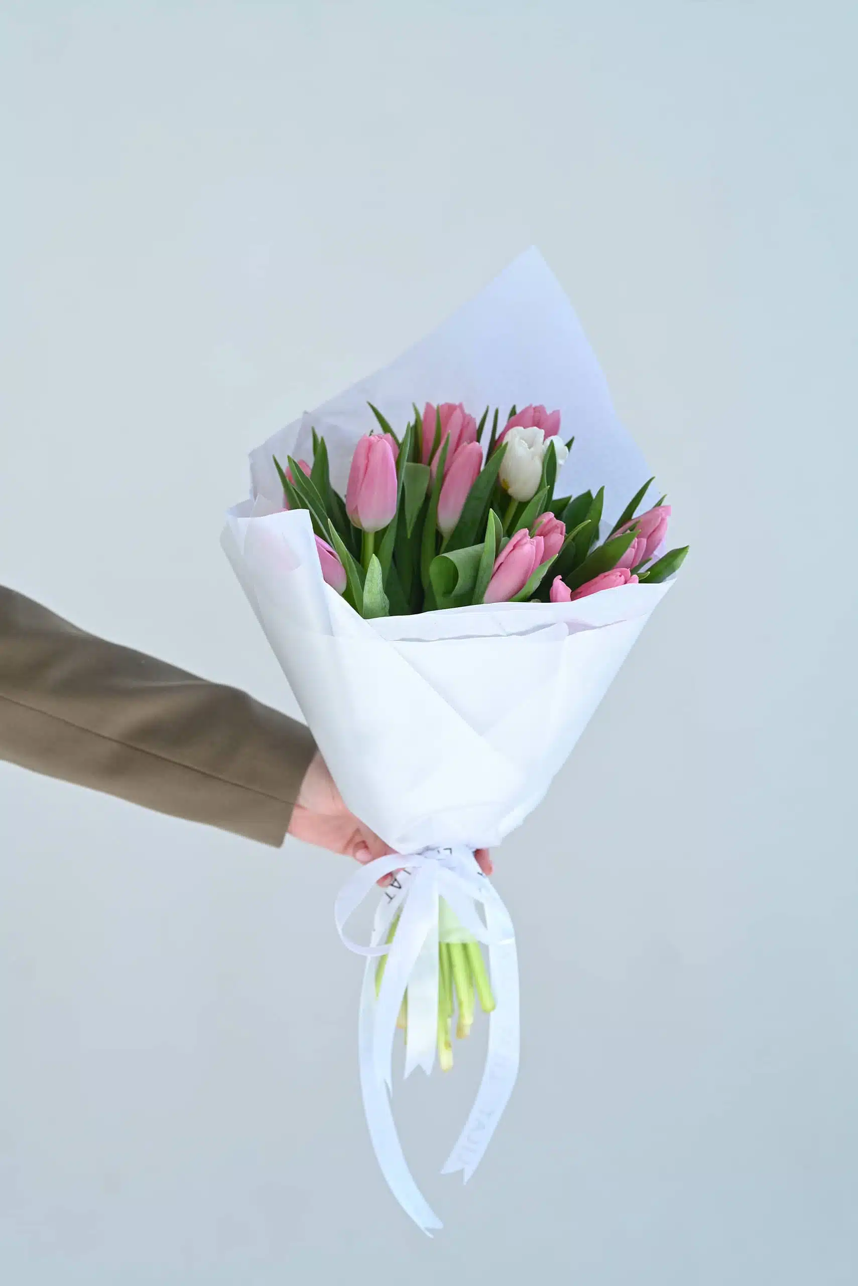 19 ვარდისფერი ტიტა