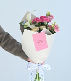 ჰოლანდიური სეზონური ყვავილები ''S''