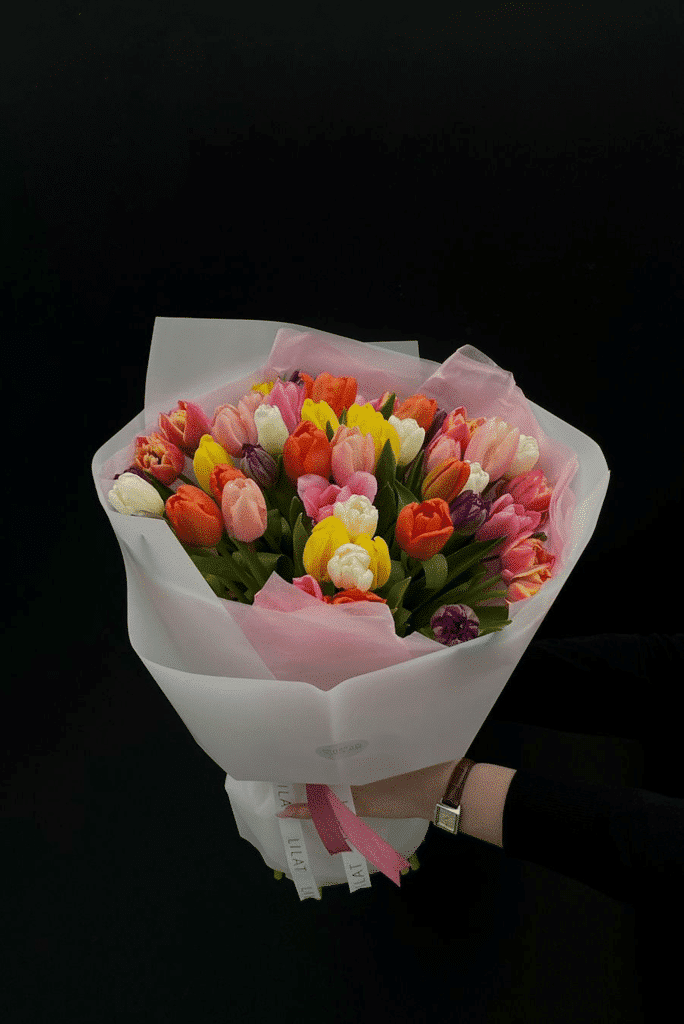 ჰოლანდიური ტიტები