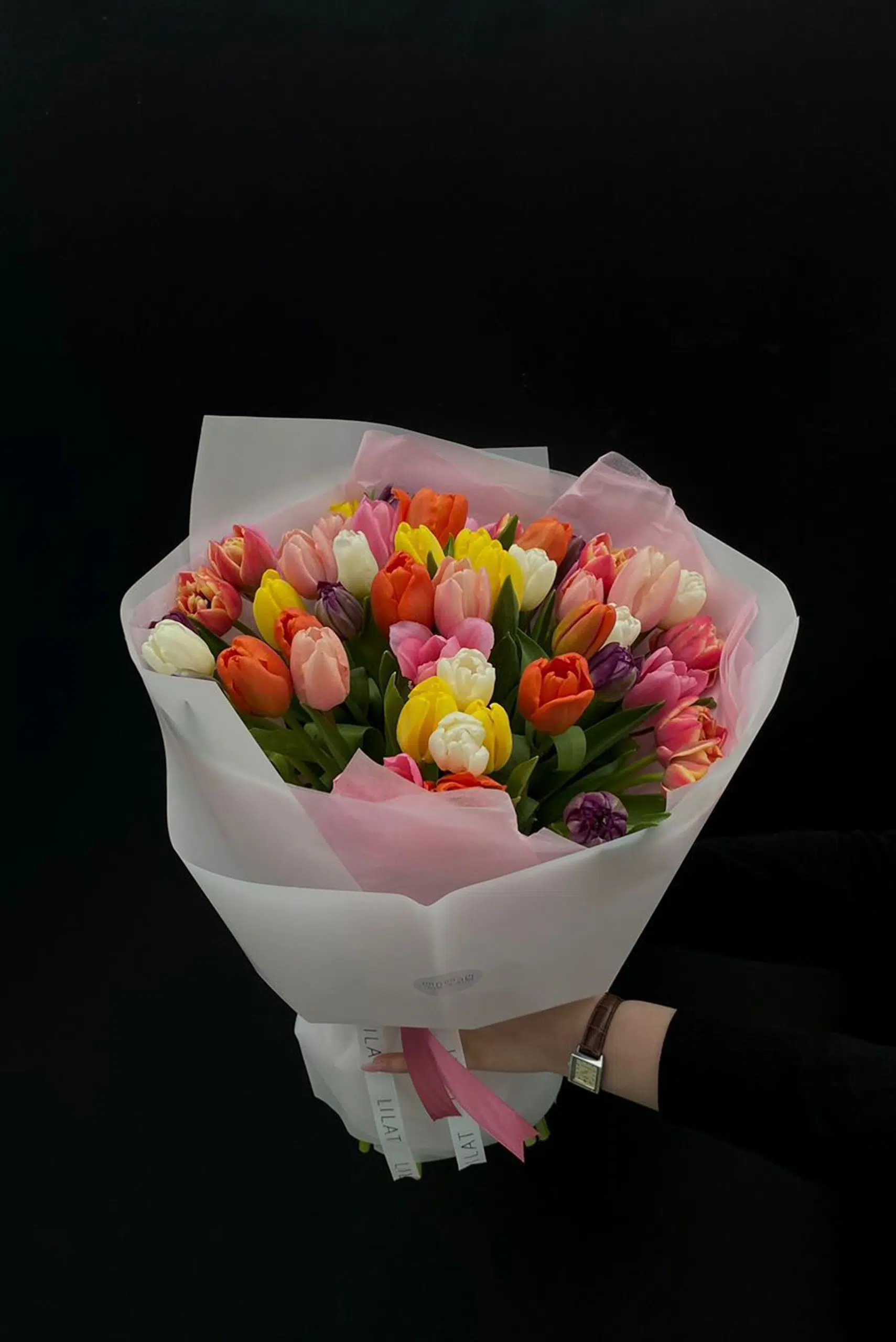 ჰოლანდიური ტიტები