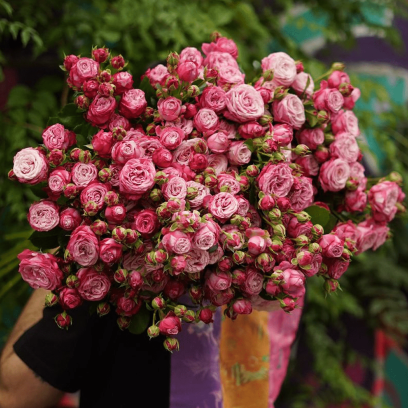 მადამ ბომბასტიკ