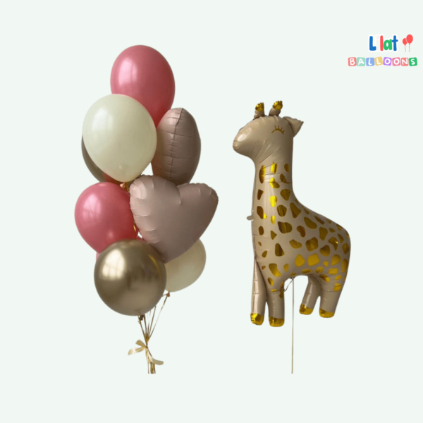 დინოზავრი ბუშტების სეტი