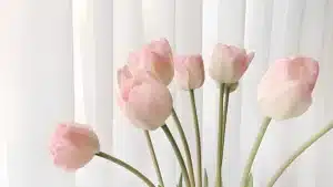 ყვავილი ტიტები ღია ვარდისფერი