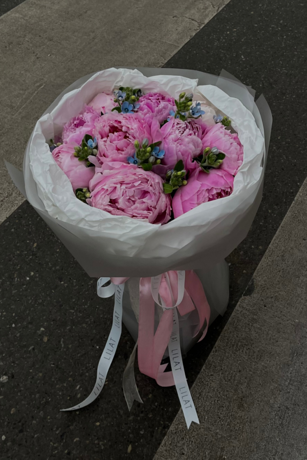 11 пионов «Сара Бернар»