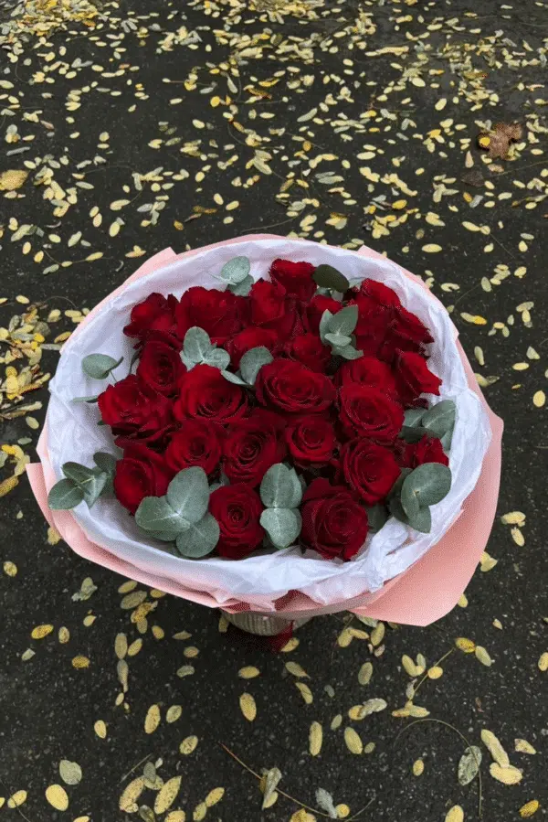 25 წითელი ვარდი „ექსპლორერი“